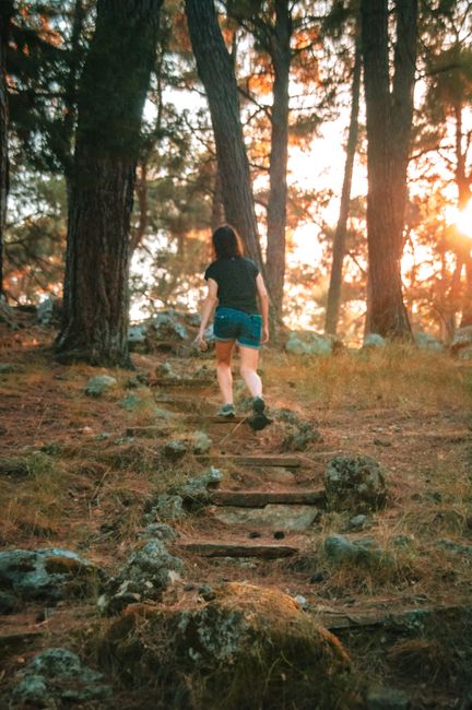 summer-hiking-short-sleeves-nature-realistic-lifestyle Boravak u prirodi i zaštita od ugriza krpelja